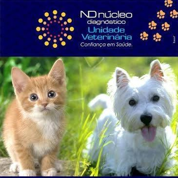 Núcleo Diagnóstico Veterinário Maringá - Pet Shop em Maringá