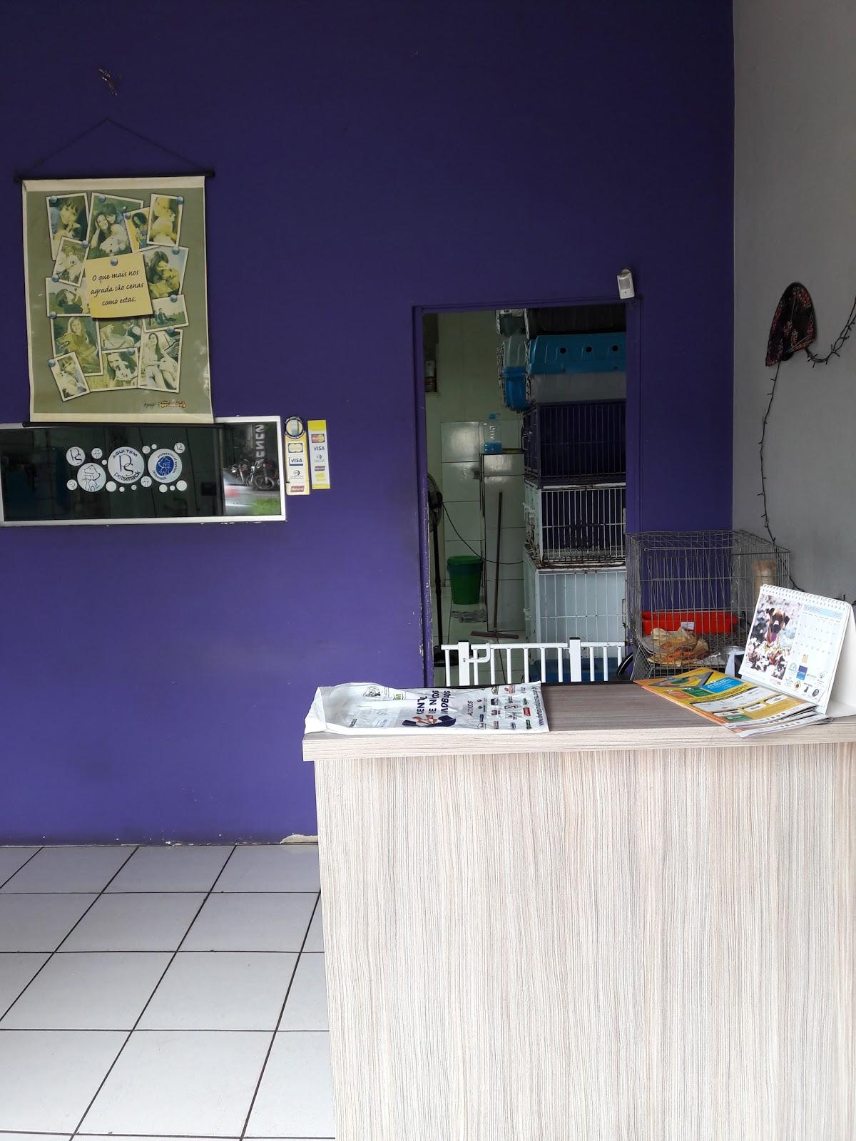 Esthetic Dog Banho e Tosa