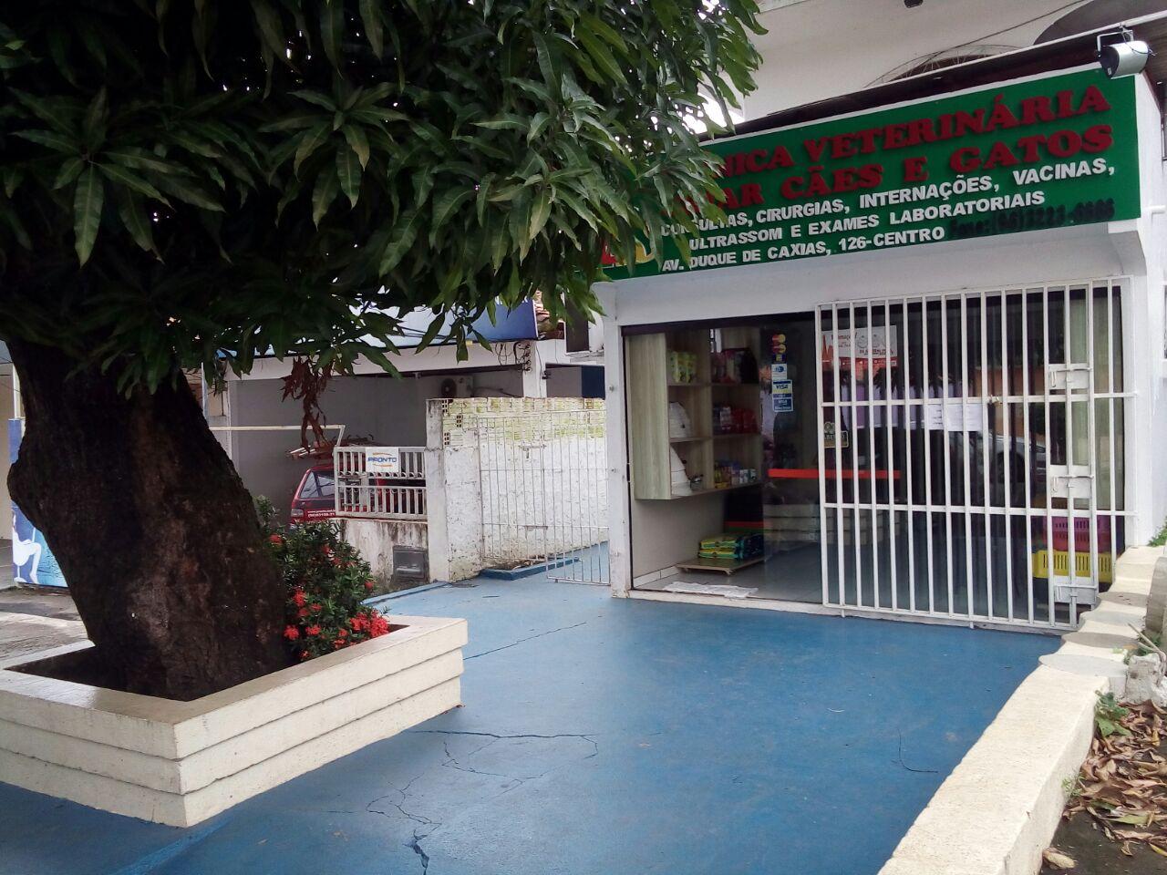 Clínica Veterinária Criar Cães e Gatos - Pet Shop em Macapá