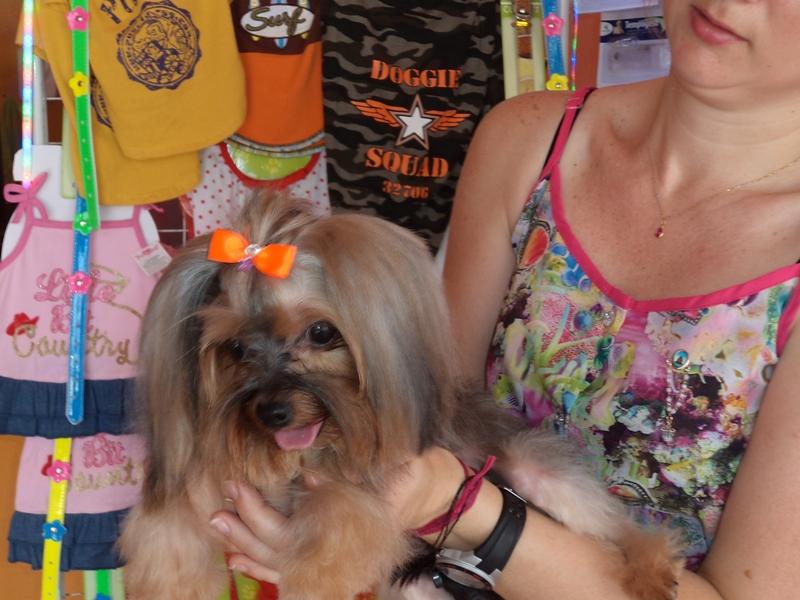 Petshop Essencia do Cão Banho e Tosa - Foto 2