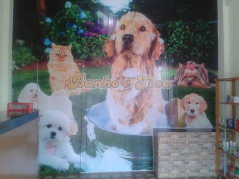 Petshop Essencia do Cão Banho e Tosa - Foto 3