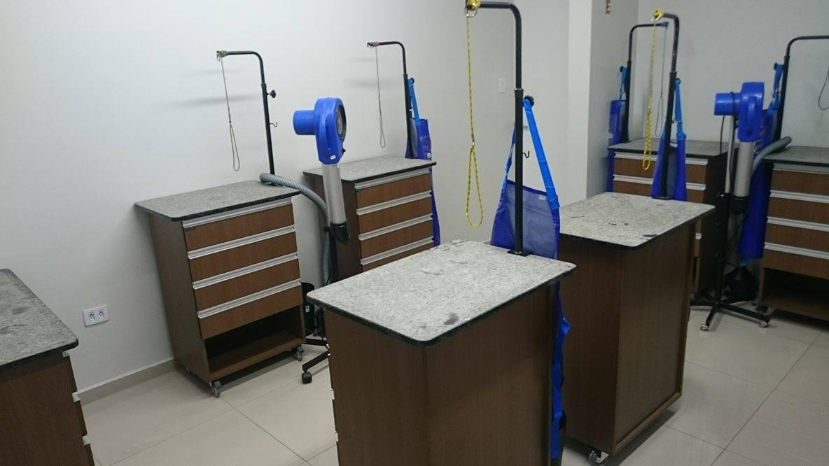 Belas Patas - Curso de Banho e Tosa