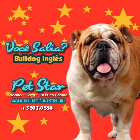 PetStar Banho, Tosa, Estética Canina