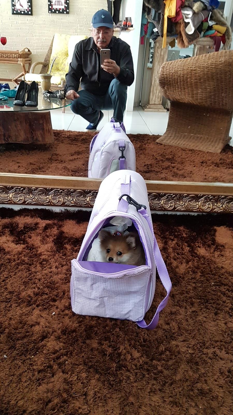 Edenilson Tonial Cia