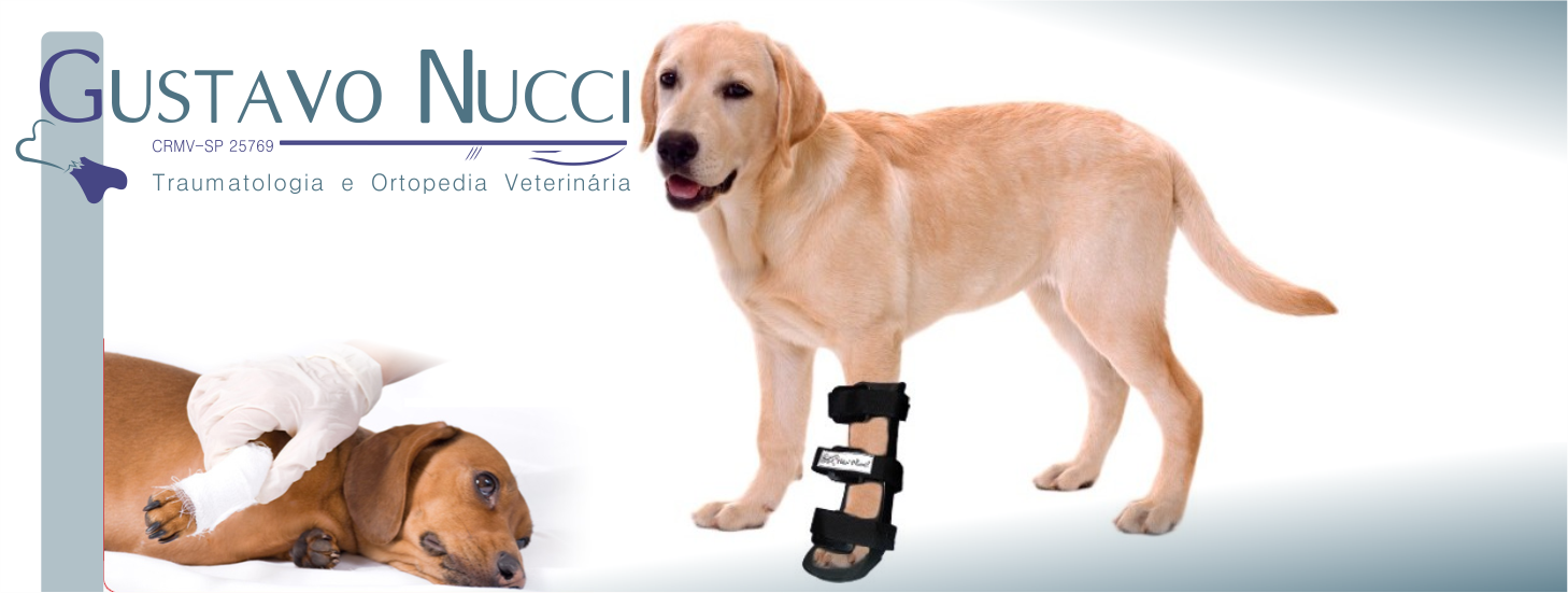 Ortopedia Veterinária Gustavo Nucci - Pet Shop em Campinas