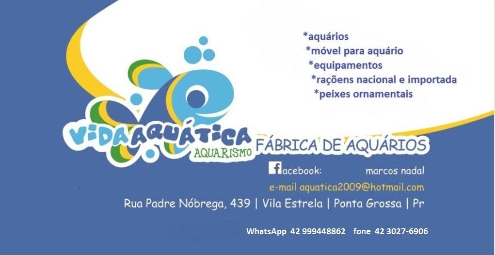 Aquatica Ponta Grossa - Foto 3