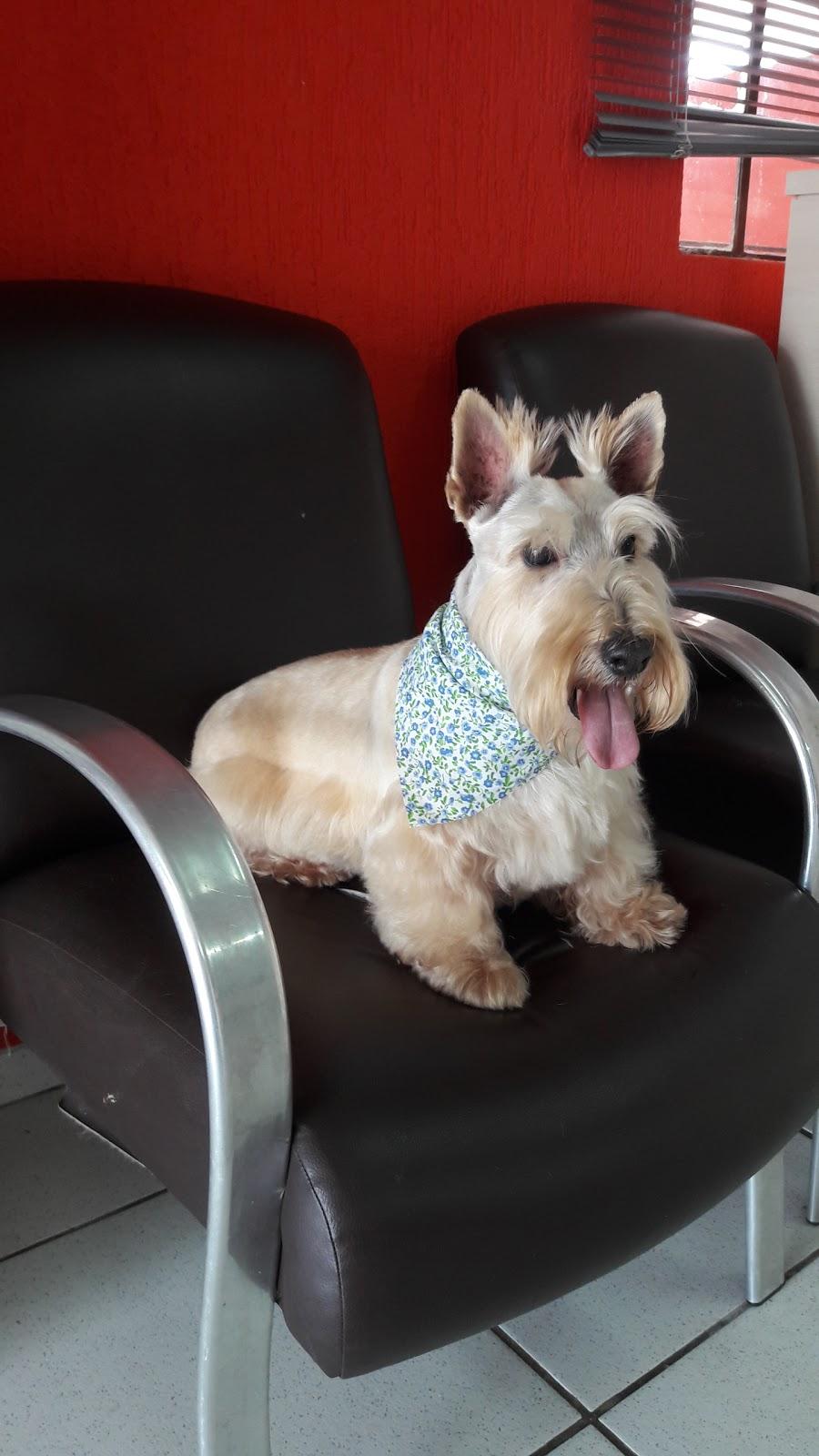 Clínica Santa Ines Pet Shop