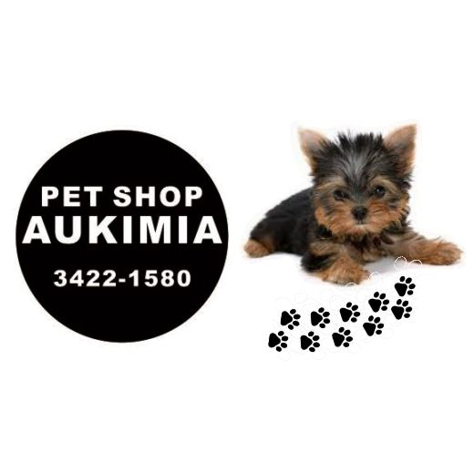Pet Shop Aukimia - Foto 5