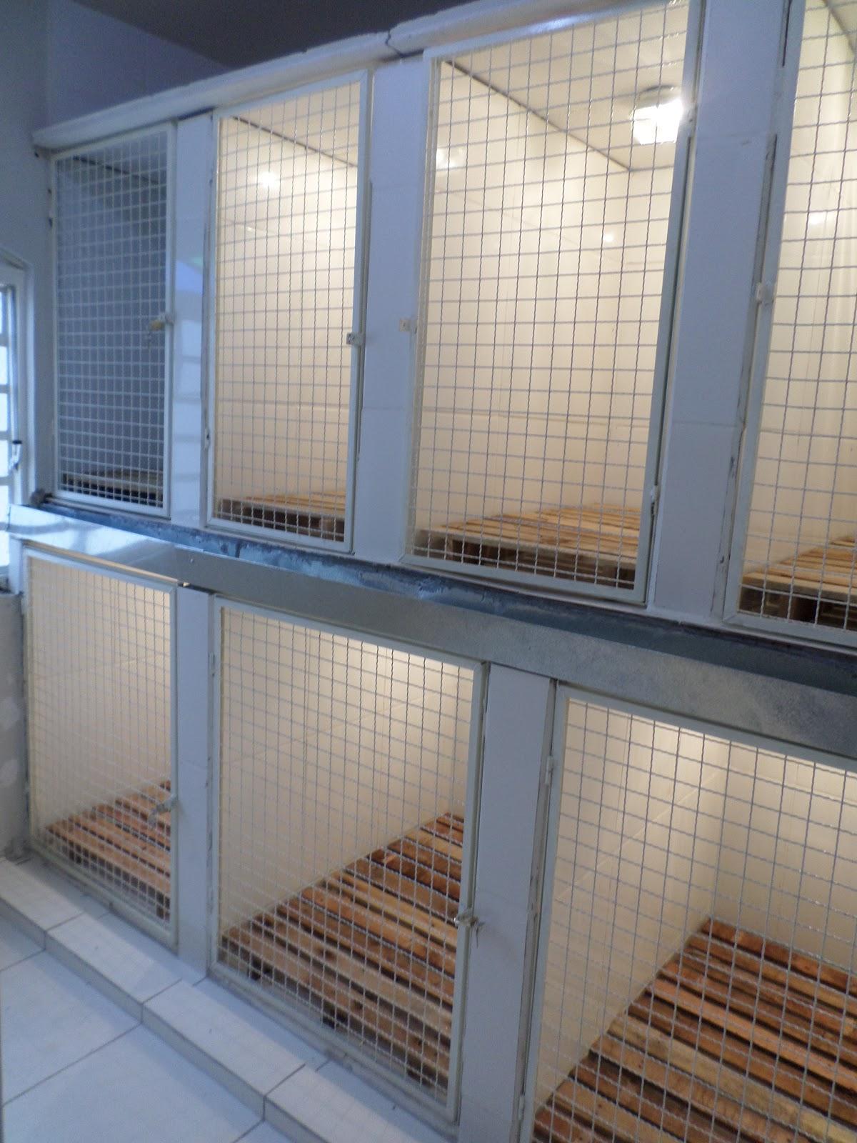PA Pet Center - Foto 5