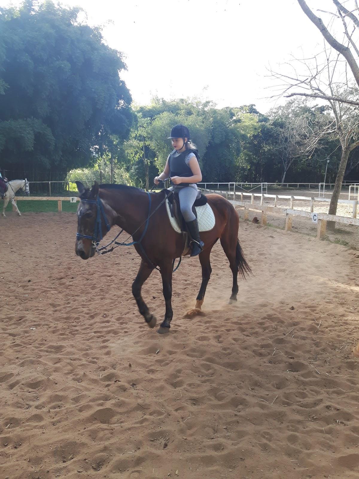 Equitação San Martin - Foto 4