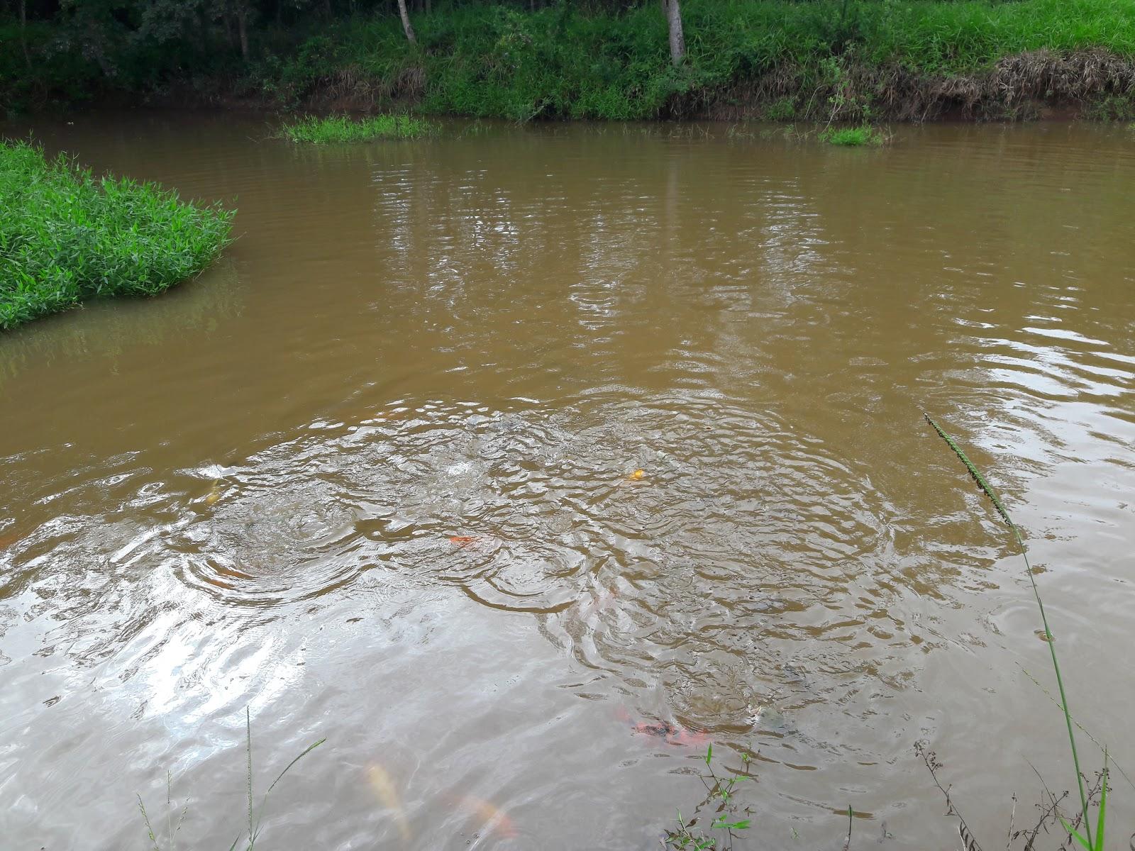 Mondala Piscicultura