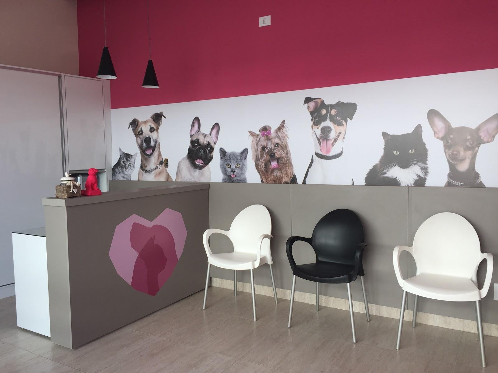Amar Veterinária - Foto 5