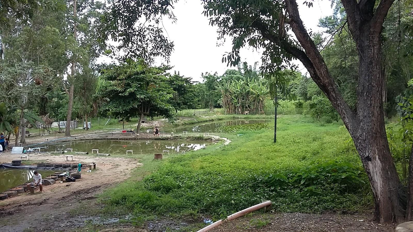 Pesqueiro Água Santa - Foto 2