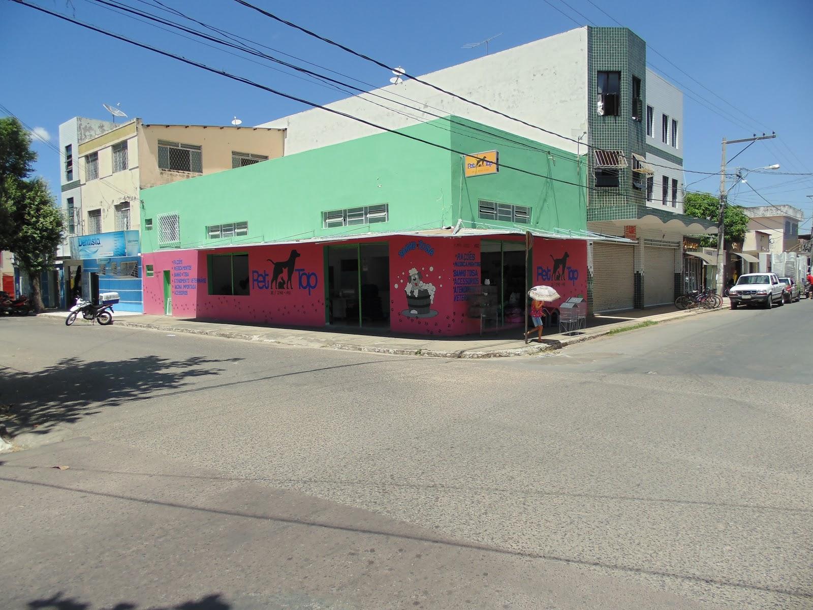 Pet Top - Pet Shop - Foto 2