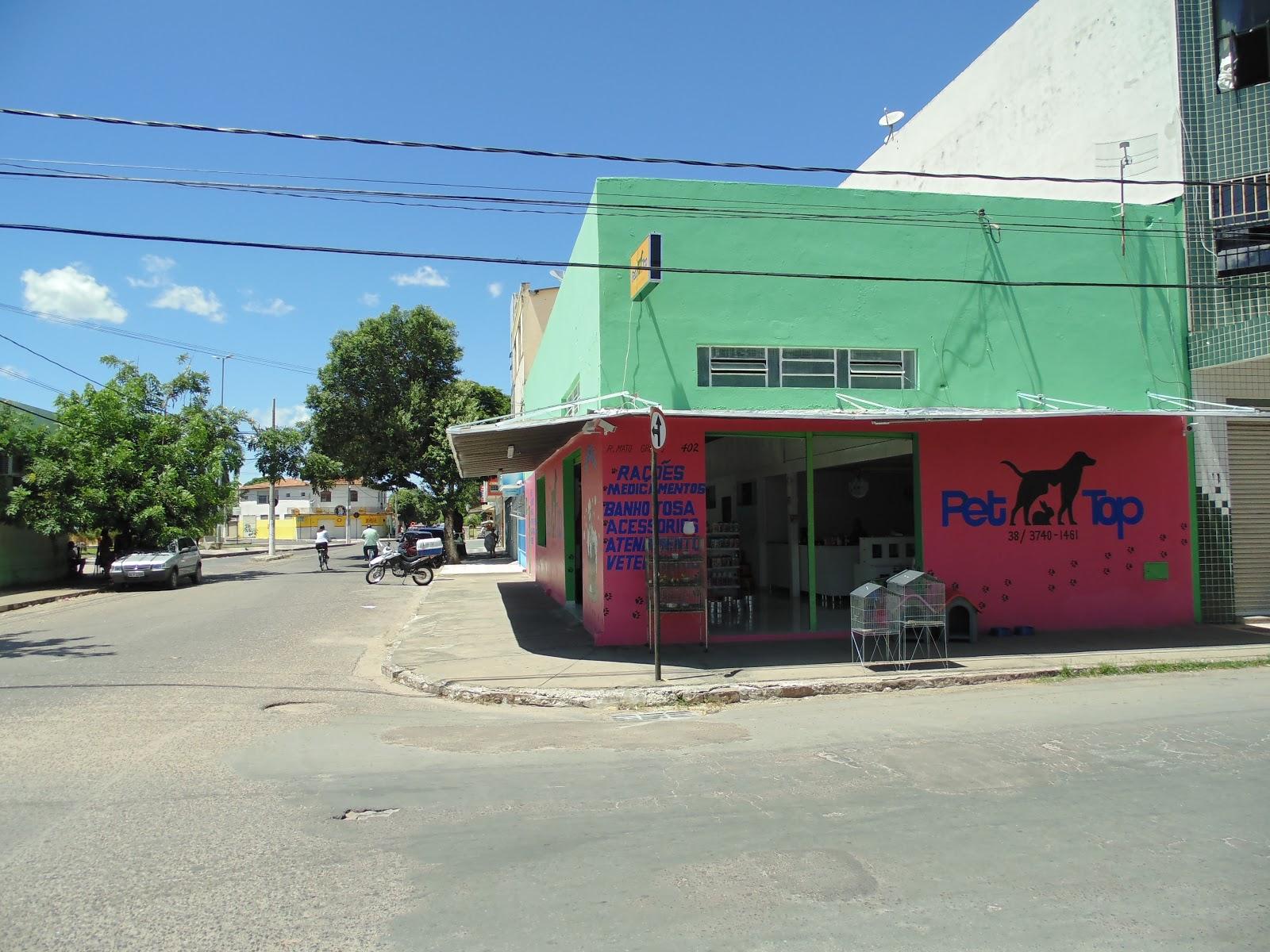 Pet Top - Pet Shop - Foto 3