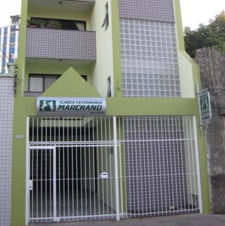 Clínica Veterinária Marchand