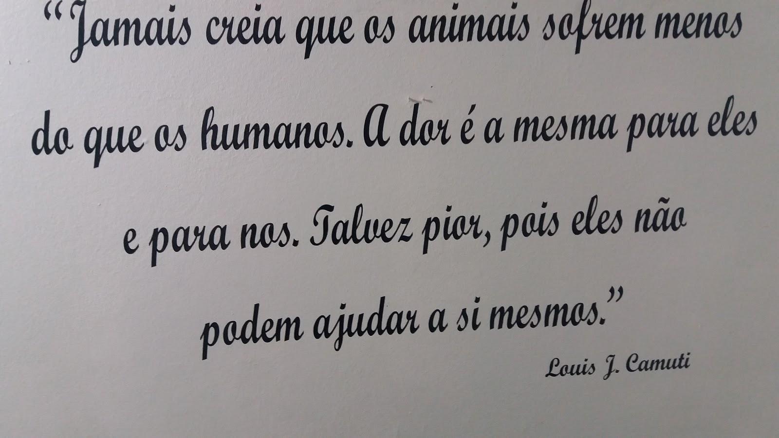 Atendimento Veterinário