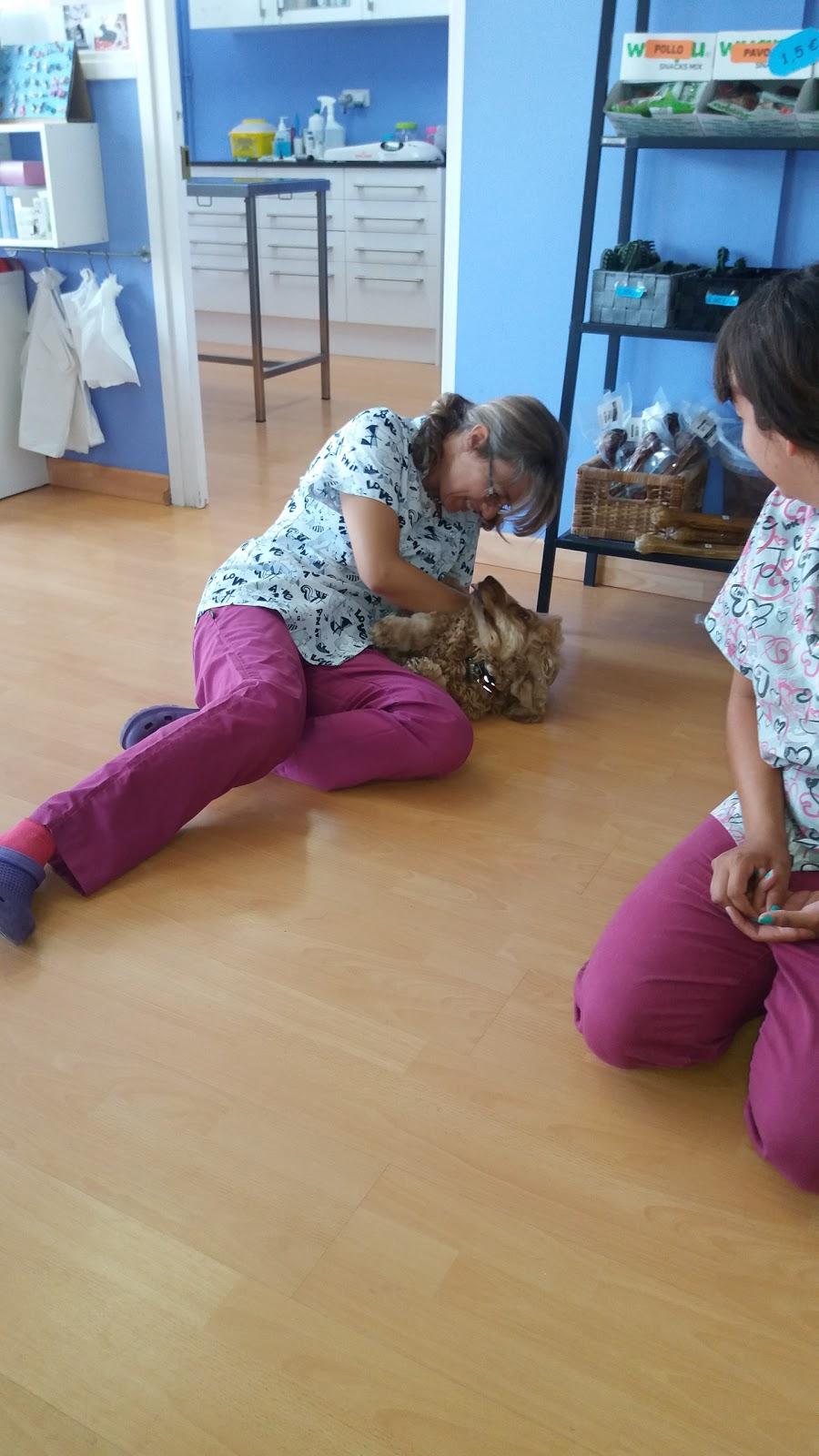 Clinica Veterinaria Prat de Cunit - Foto 4