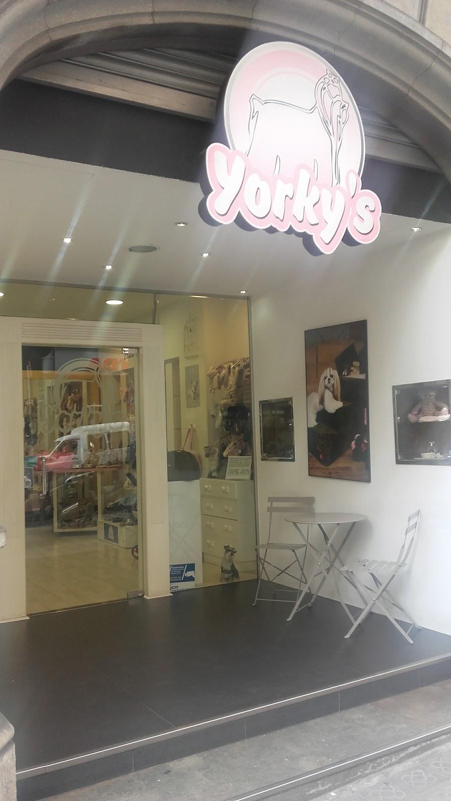 YORKY'S BALMES. Cachorros Toy Barcelona.