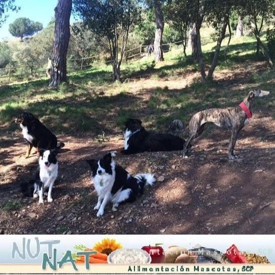 NUT NAT Alimentación Natural Mascotas - Pet Shop em Barcelona