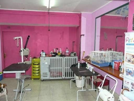 PETOLOTA - Foto 2