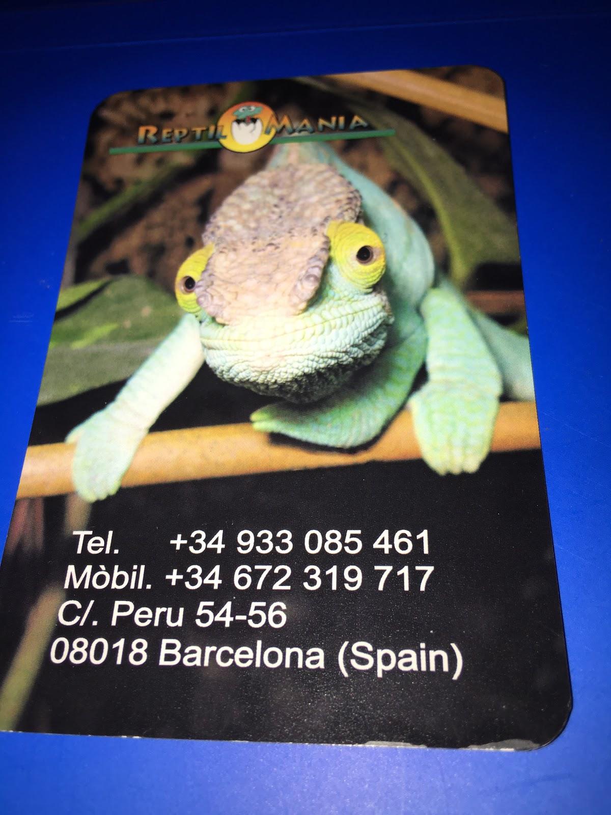 ReptilMania - Foto 2