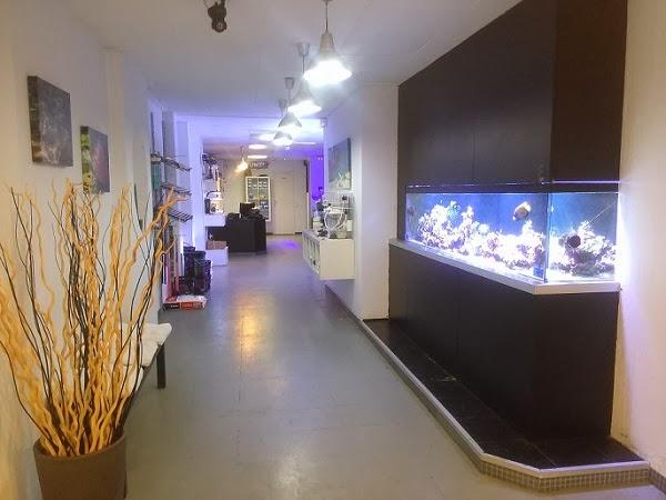 Furious Fish - Pet Shop em Barcelona