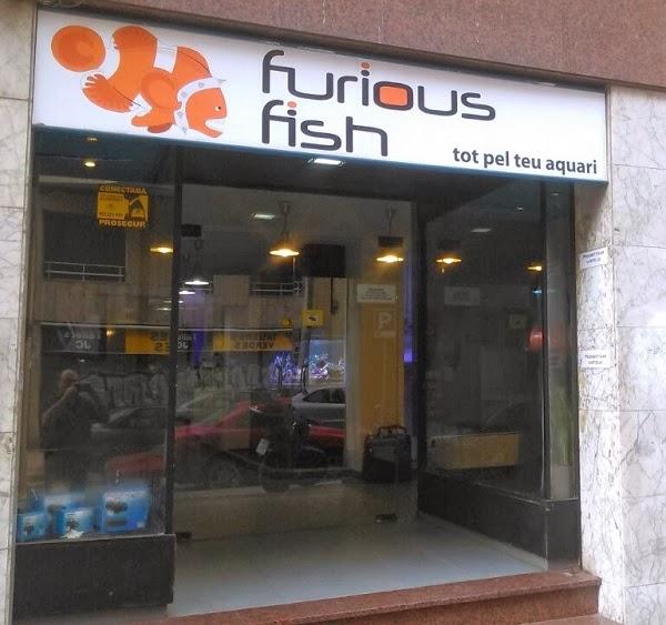 Furious Fish - Foto 2