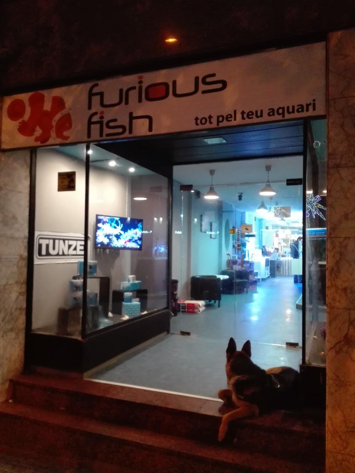 Furious Fish - Foto 4