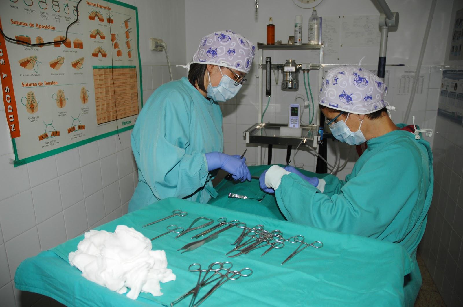 Clínica Veterinària Núria Plana