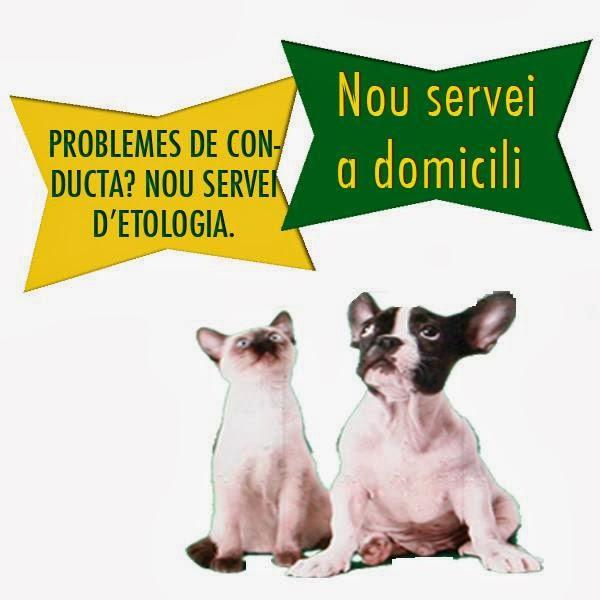 Clinica Veterinaria Sant Celoni