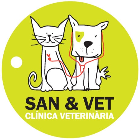 San & Vet Clinica Veterinaria - Foto 3