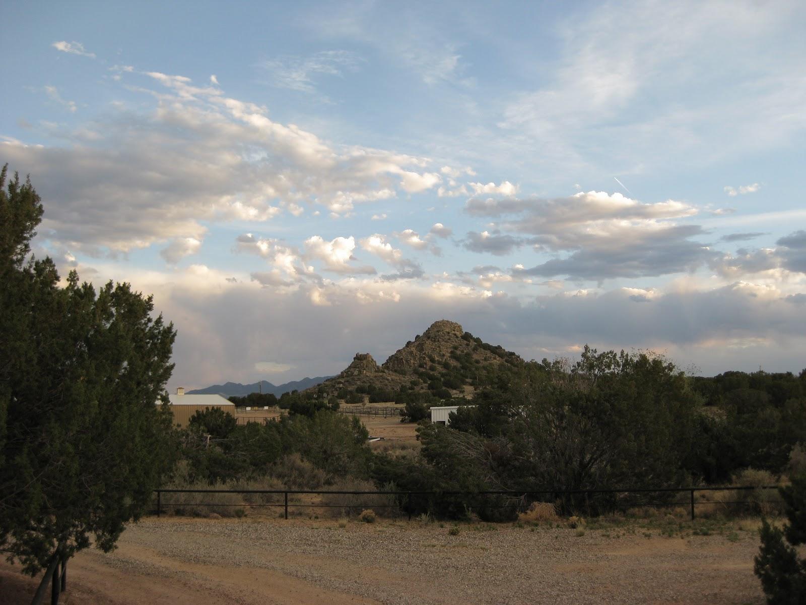 Thal Equine LLC - Foto 3
