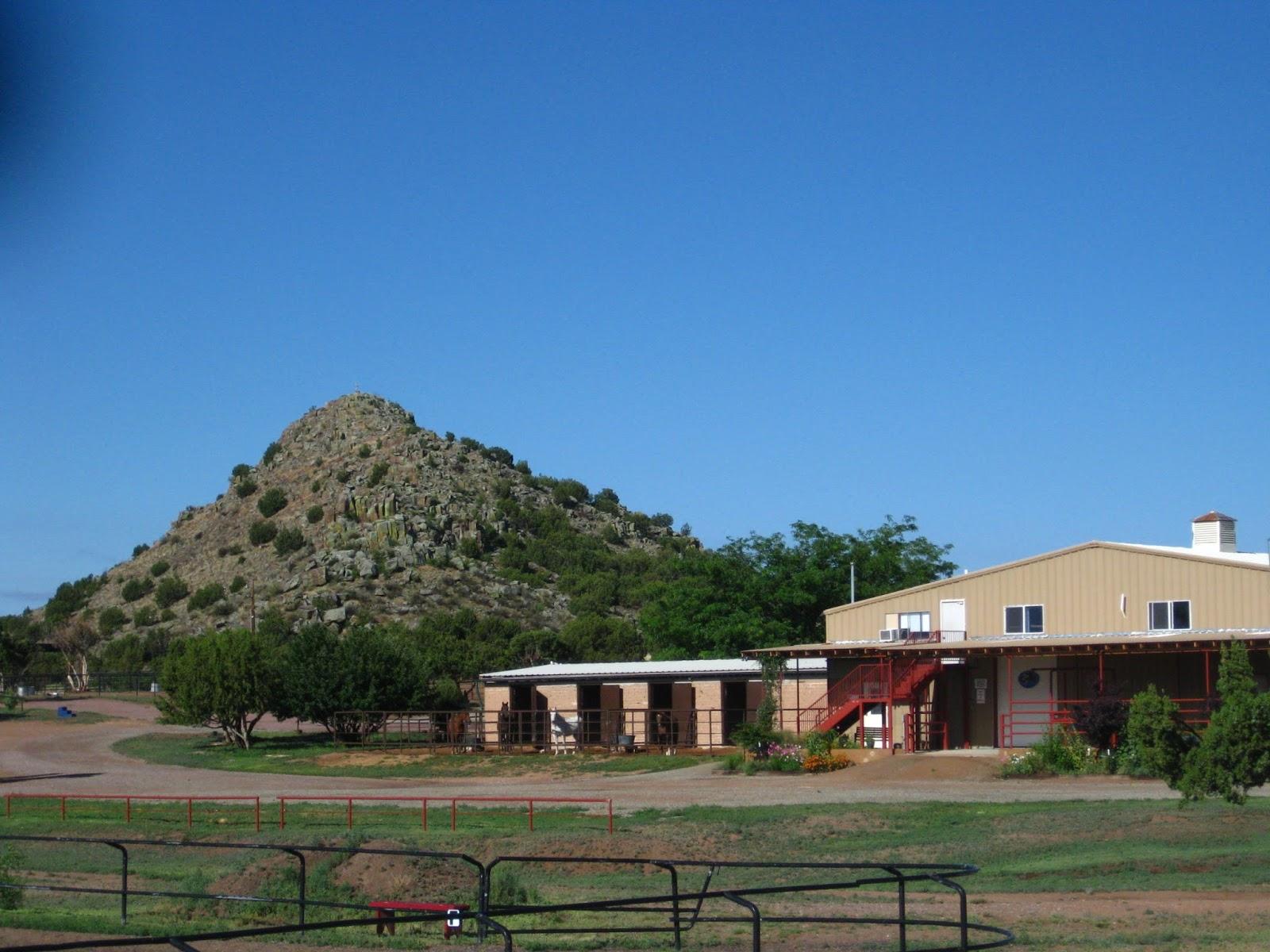 Thal Equine LLC - Foto 2