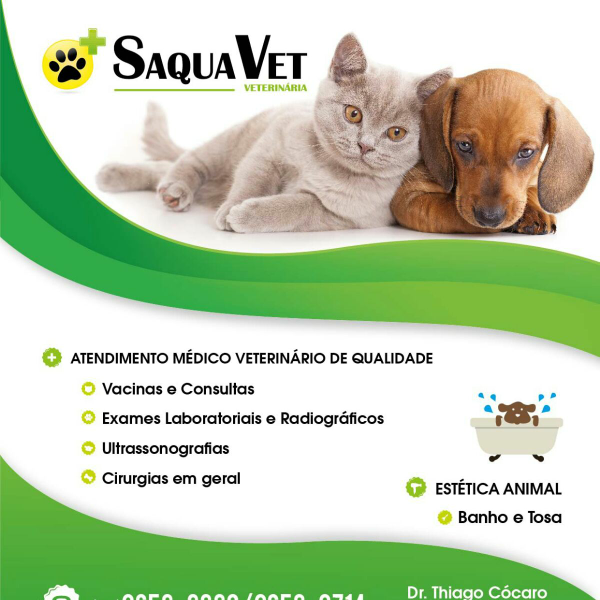 Saquavet - Foto 2