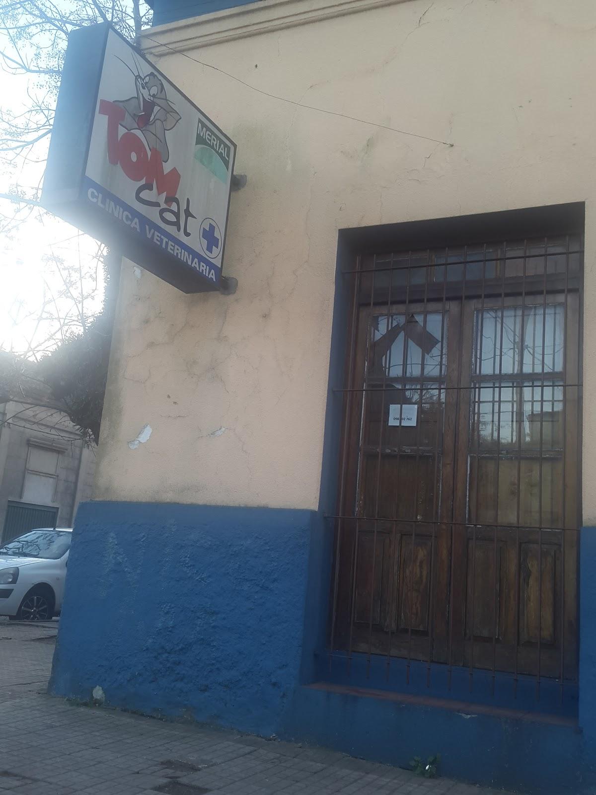 Veterinaria Tom Cat