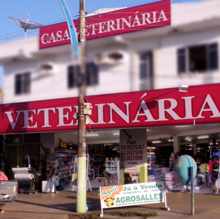 Casa Veterinaria