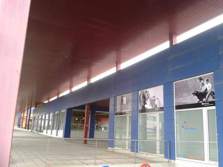 P.A.C. Veterinario San Lázaro - Foto 3