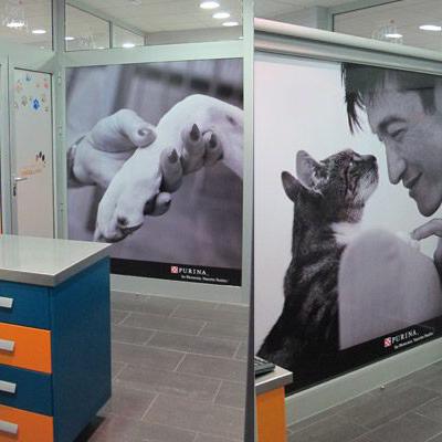 P.A.C. Veterinario San Lázaro