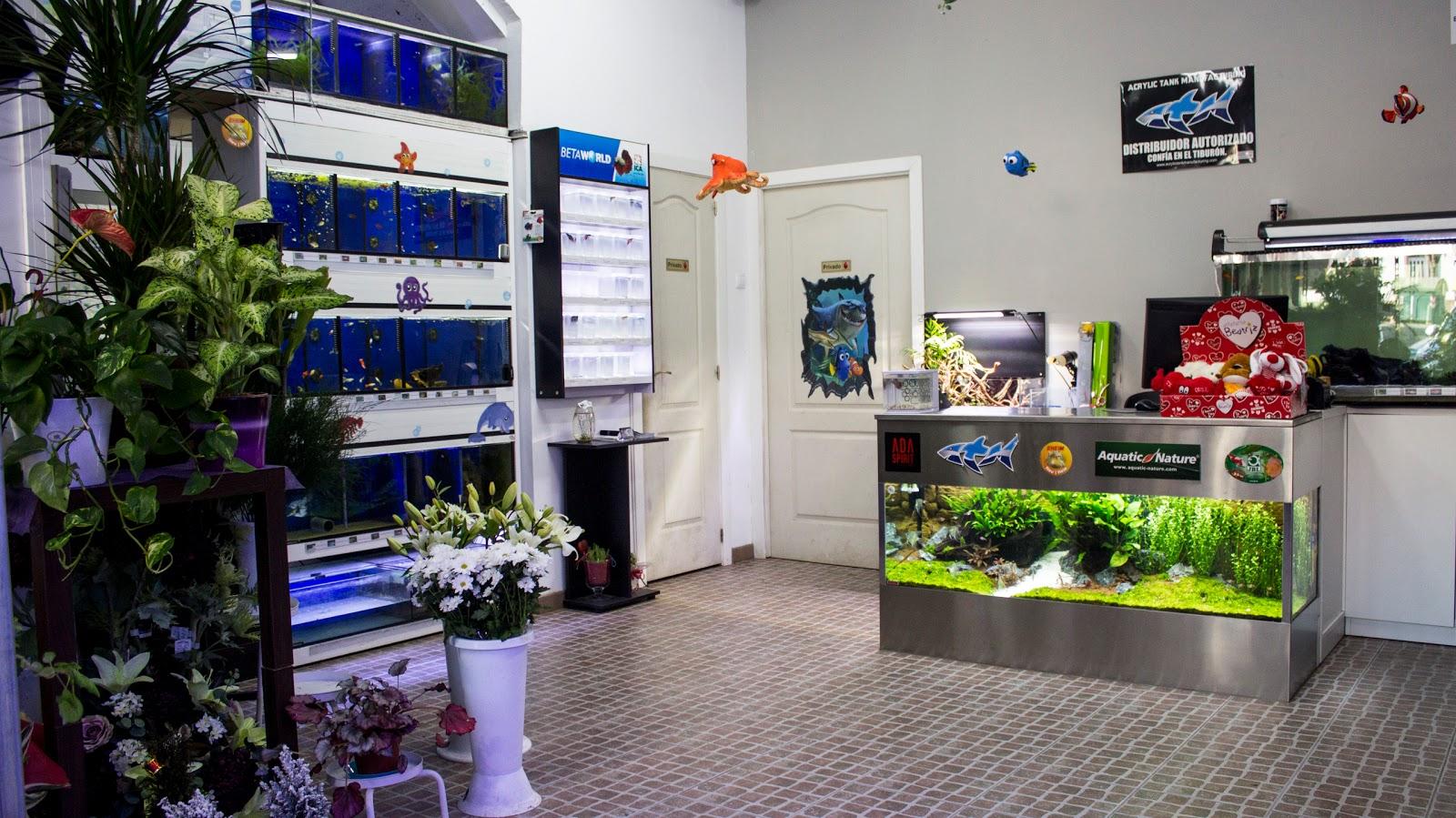 AquaDiseño - Pet Shop em Santiago de Compostela