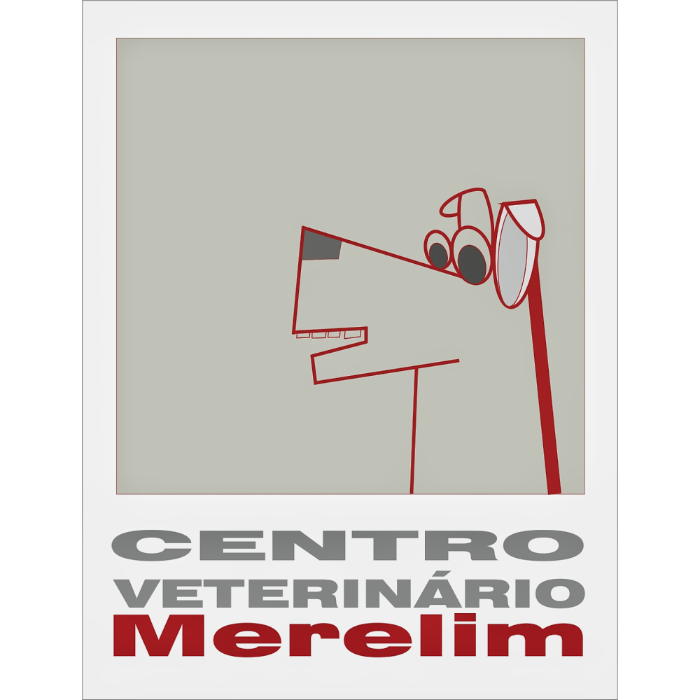 Centro Veterinário de Merelim - Foto 3