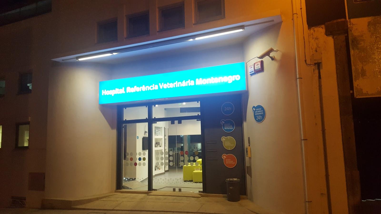 Hospital Veterinário Montenegro - Pet Shop em Porto