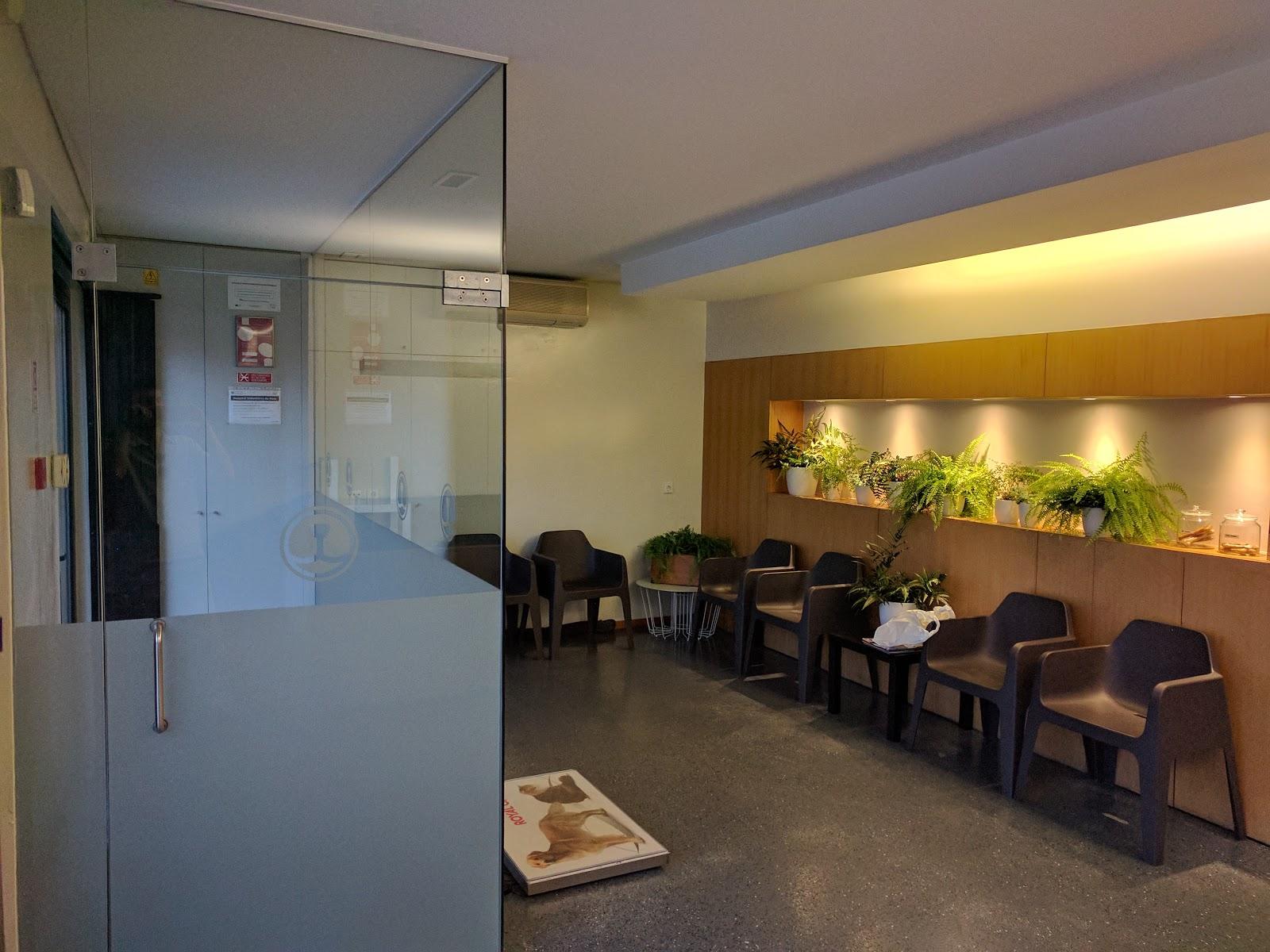 Veterinary Hospital of Maia