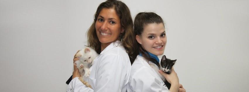 Centro Veterinário de Mira - Arcozelo