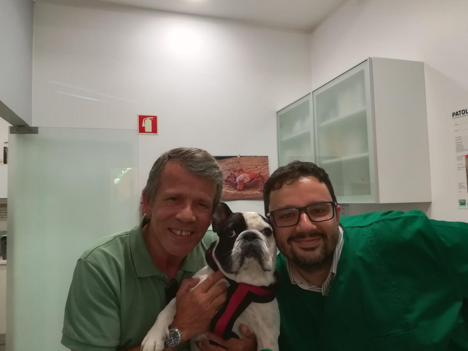 Animais Em Foco-clínica Veterinária Lda