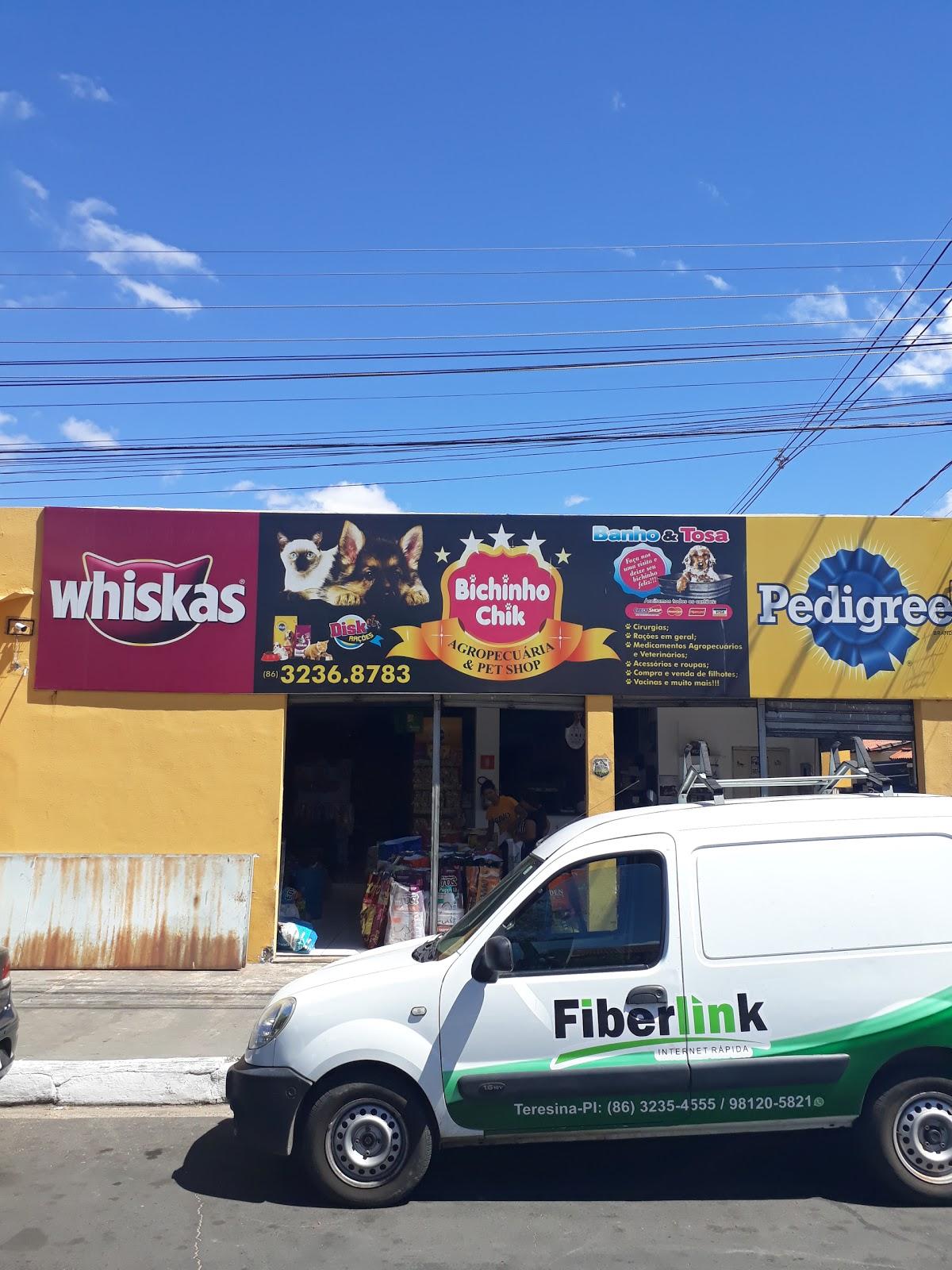 Bichinho Chik - Foto 4