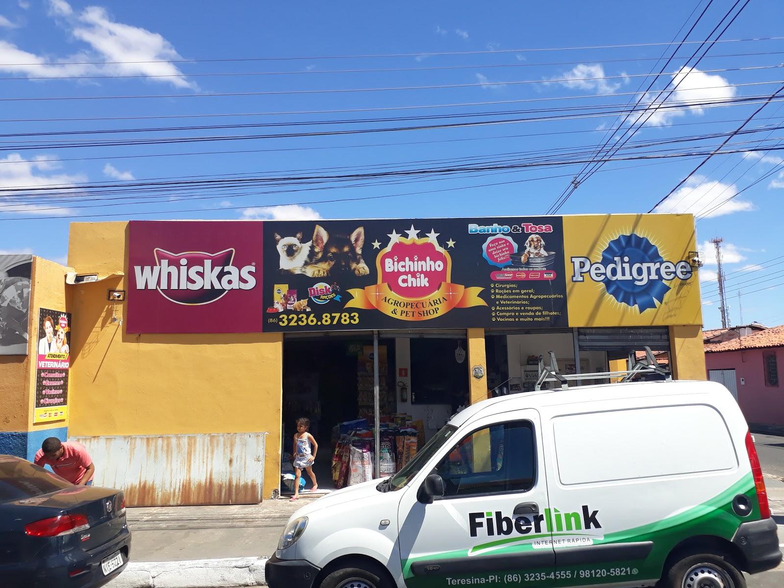 Bichinho Chik - Foto 2