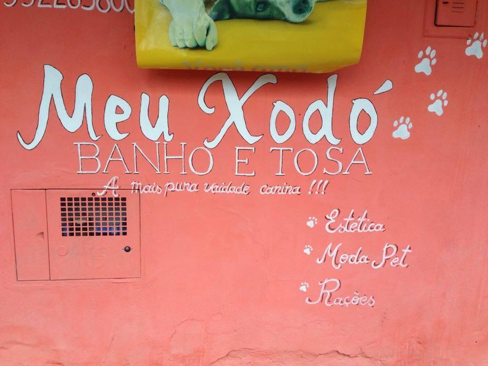 Meu Xodó Banho e Tosa - Foto 2