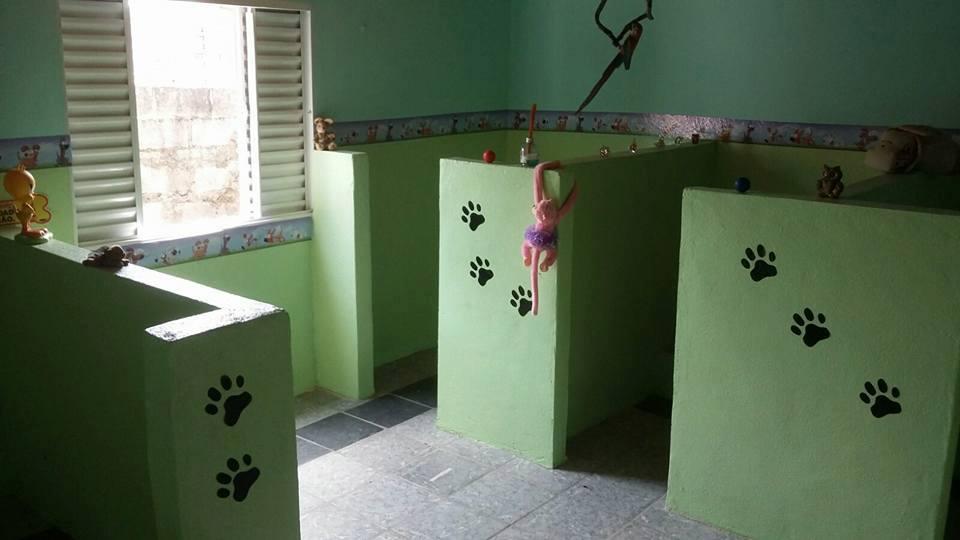 Pet Shop Bom para Cachorro - Pet Shop em Varginha