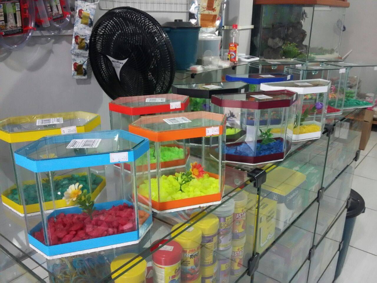 Aquaticu'S Pet Shop - Aquários e Peixes